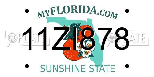 11ZI878 Florida License Plate