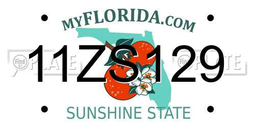 11ZS129 Florida License Plate