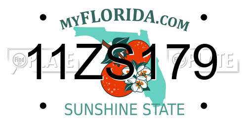 11ZS179 Florida License Plate