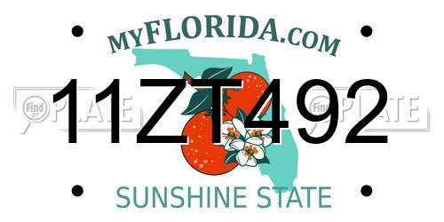 11ZT492 Florida License Plate
