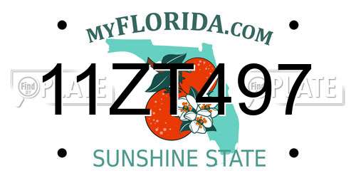 11ZT497 Florida License Plate