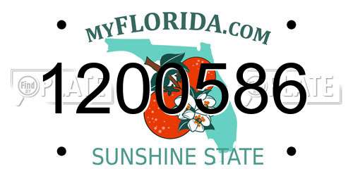 1200586 Florida License Plate