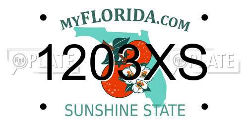 1203XS Florida License Plate