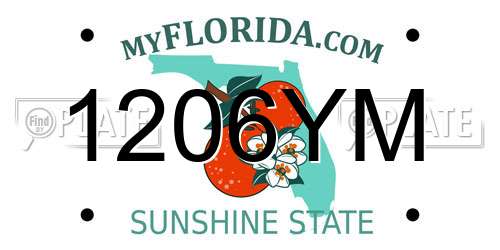 1206YM Florida License Plate