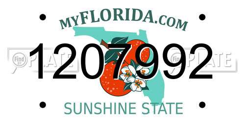 1207992 Florida License Plate