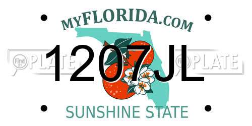 1207JL Florida License Plate