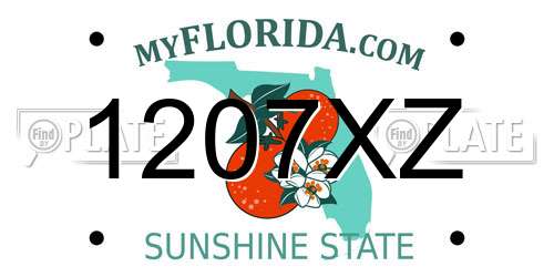 1207XZ Florida License Plate