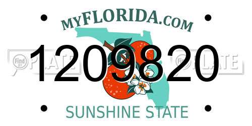 1209820 Florida License Plate