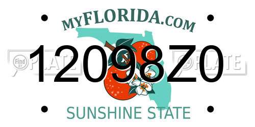 12098Z0 Florida License Plate