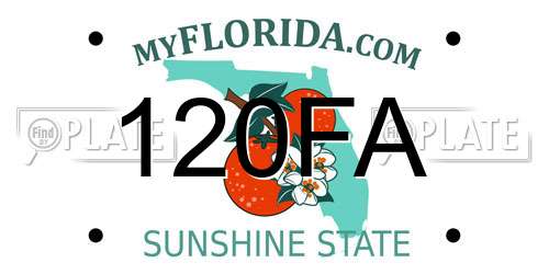 120FA Florida License Plate