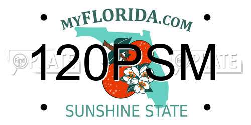 120PSM Florida License Plate