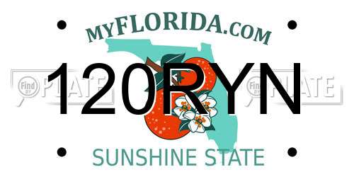 120RYN Florida License Plate