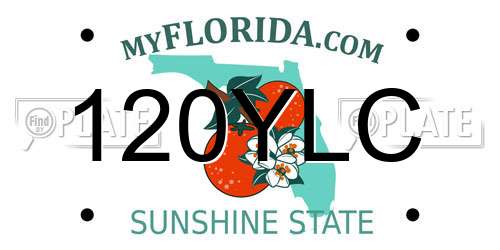 120YLC Florida License Plate