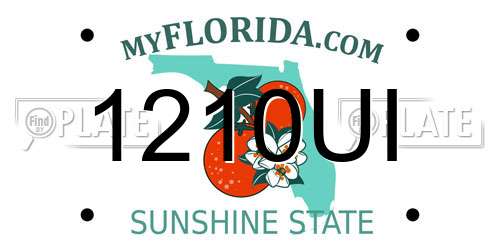 1210UI Florida License Plate