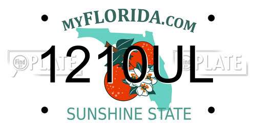 1210UL Florida License Plate