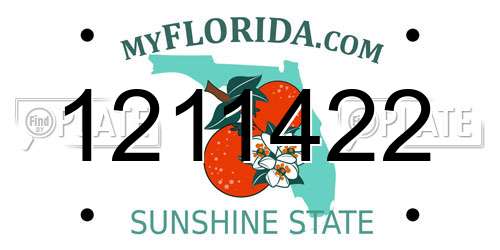 1211422 Florida License Plate