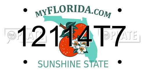12114T7 Florida License Plate