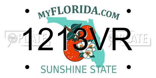 1213VR Florida License Plate