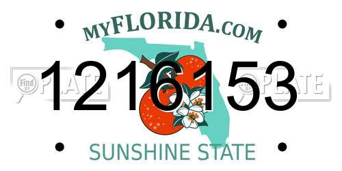 1216153 Florida License Plate