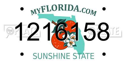 1216158 Florida License Plate