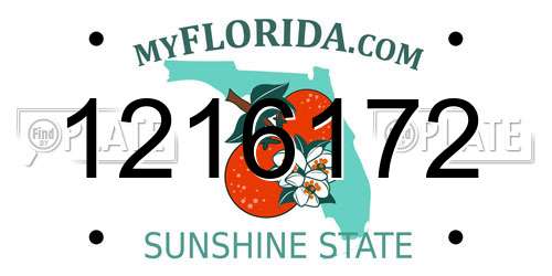 1216172 Florida License Plate