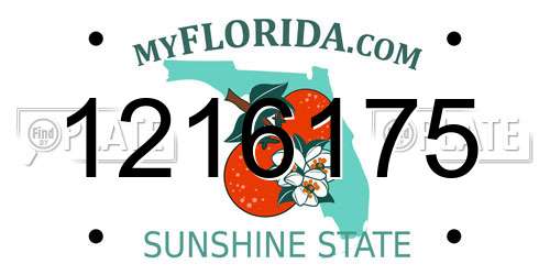1216175 Florida License Plate
