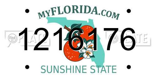 1216176 Florida License Plate