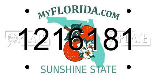 1216181 Florida License Plate