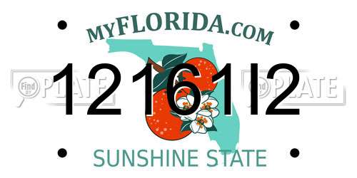 12161I2 Florida License Plate