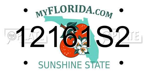 12161S2 Florida License Plate