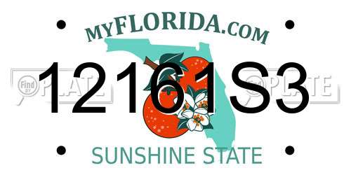 12161S3 Florida License Plate