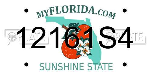 12161S4 Florida License Plate