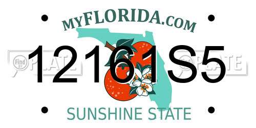 12161S5 Florida License Plate