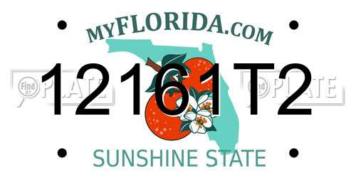 12161T2 Florida License Plate
