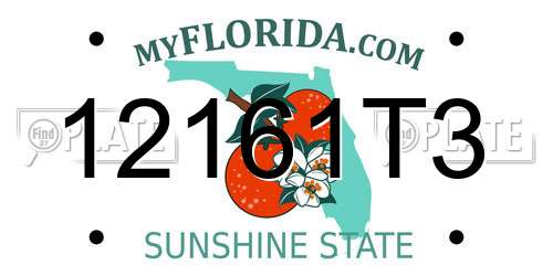12161T3 Florida License Plate