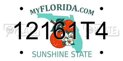12161T4 Florida License Plate