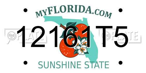 12161T5 Florida License Plate