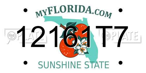 12161T7 Florida License Plate