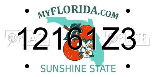 12161Z3 Florida License Plate