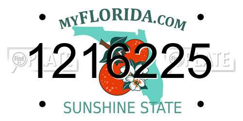 1216225 Florida License Plate