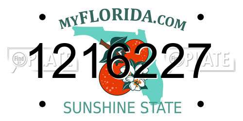 1216227 Florida License Plate