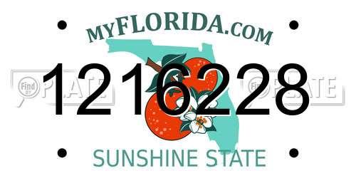 1216228 Florida License Plate