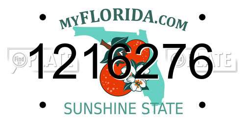 1216276 Florida License Plate