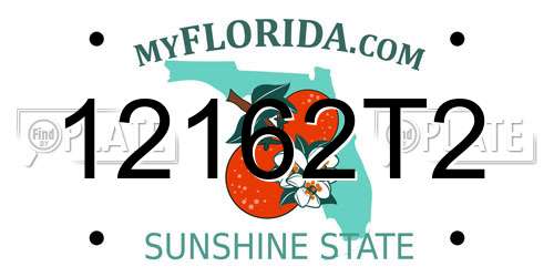 12162T2 Florida License Plate