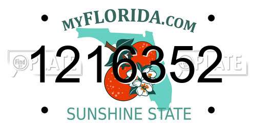 1216352 Florida License Plate