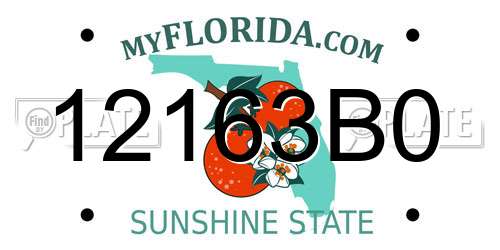 12163B0 Florida License Plate