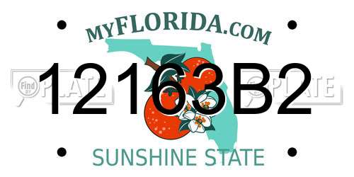 12163B2 Florida License Plate