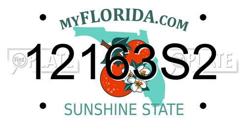 12163S2 Florida License Plate