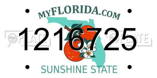 1216725 Florida License Plate