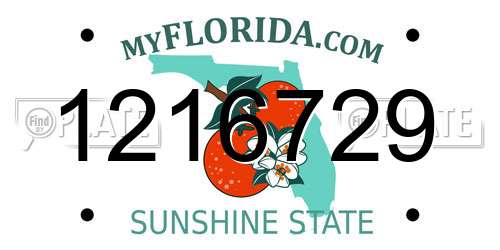 1216729 Florida License Plate